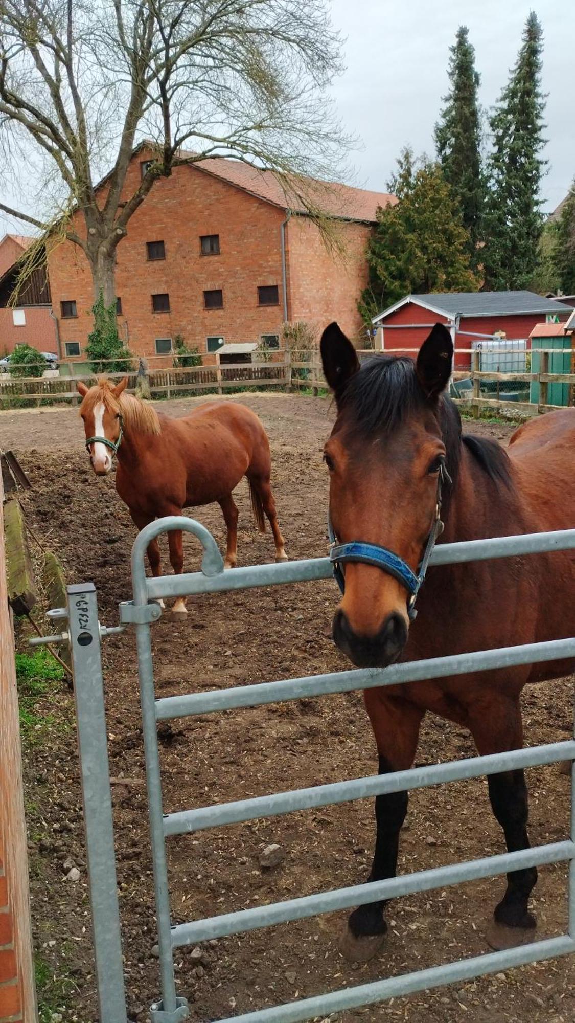 Wohnen Auf Dem Bauernhof Apartman Laatzen Kültér fotó